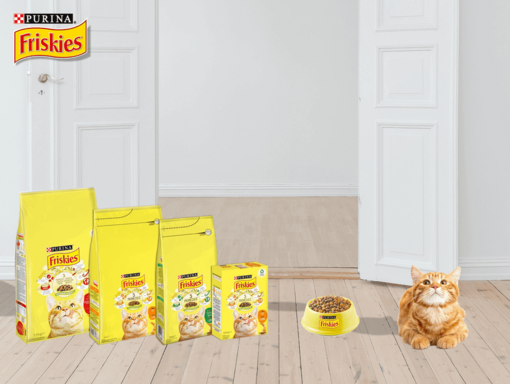 Nourriture sèche Adulte Friskies Chat