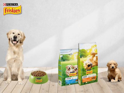 Nourriture sèche Friskies Chien