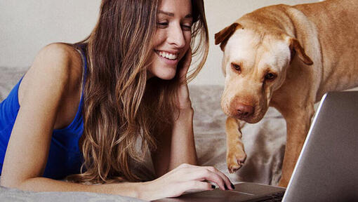 Femme et chien à l'ordinateur portable