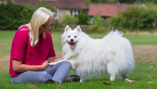 Vrouw zit buiten met hond