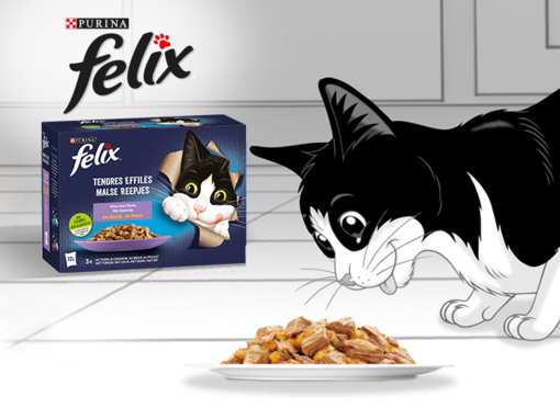 Felix avec sa nourriture humide pour chat Felix Tendres Effilés