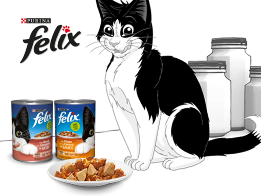 Felix avec sa nourriture humide pour chat Felix Multi Portions