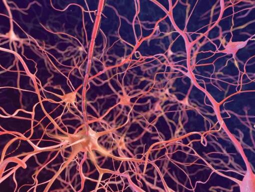 neuronen op een donkere achtergrond