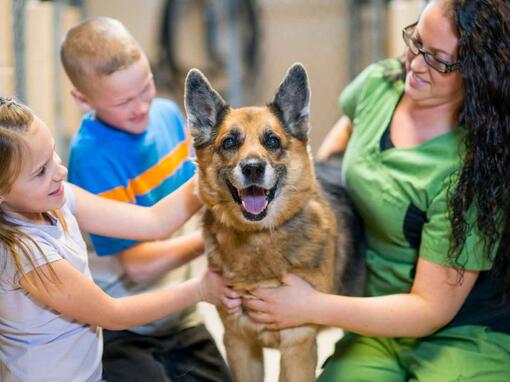 chien étreint par le propriétaire et ses enfants