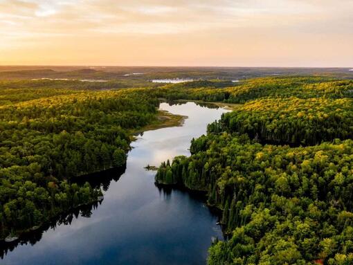 vue aérienne du paysage forestier et fluvial