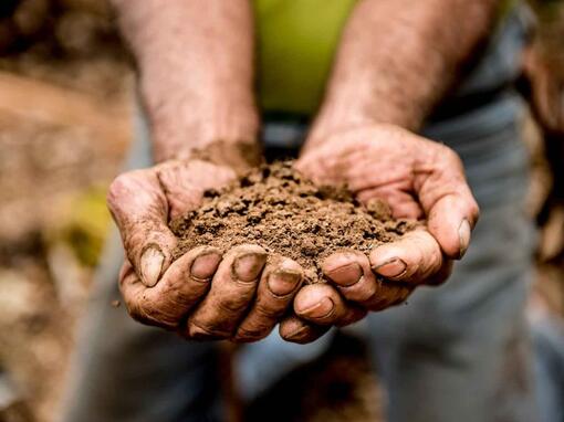 terre entre les mains d'un homme