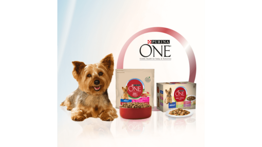 Purina ONE hond