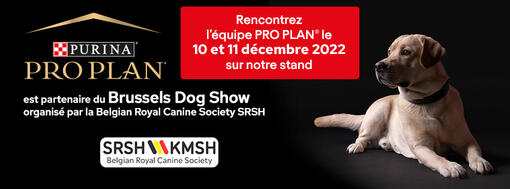Banner Pro Plan