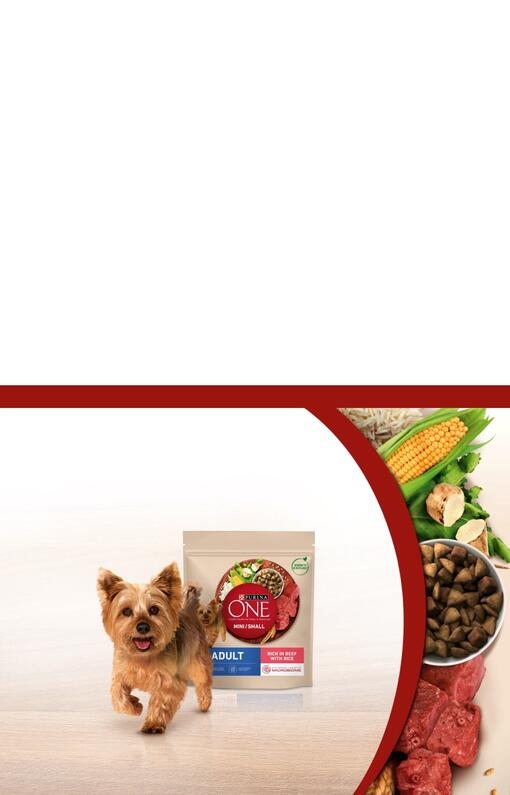 Purina One Mini mobile Banner