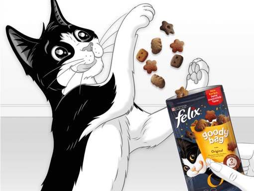 Felix eet Party Mix