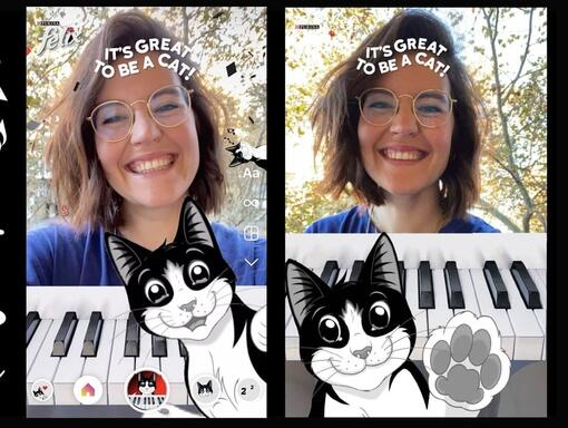 Felix-kat voor een piano