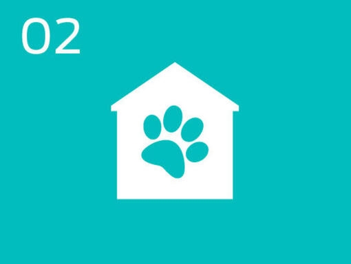 infographie d'un pion de chien à l'intérieur d'une maison