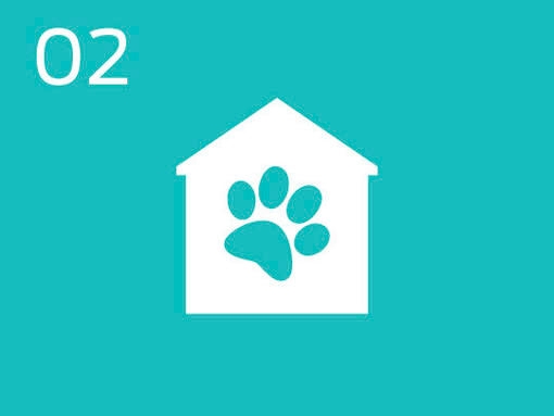 afbeelding met een hondenpion in een huis