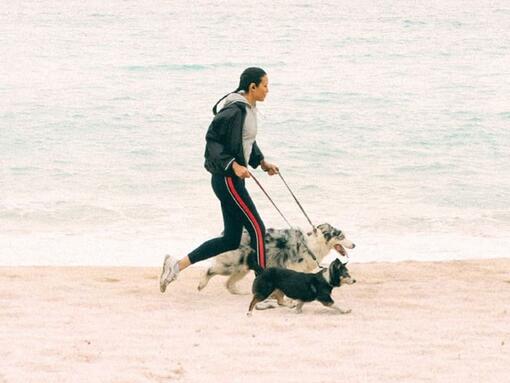 Meisje dat met honden loopt