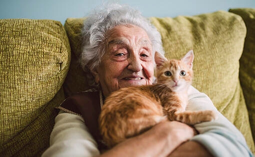 Oude vrouw met een kat