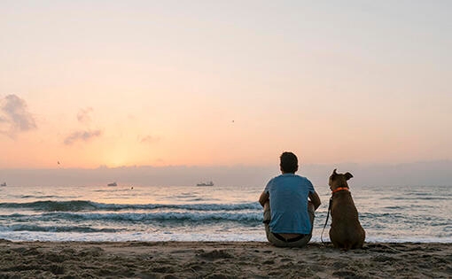 Man en hond kijken naar een zonsondergang