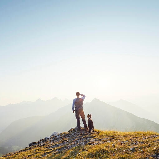 Un homme avec un chien se tient au sommet d'une montagne