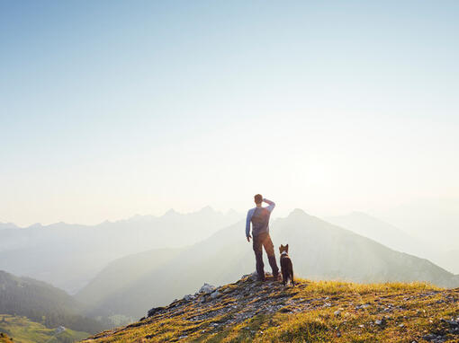 Een man met een hond staat bovenop een berg