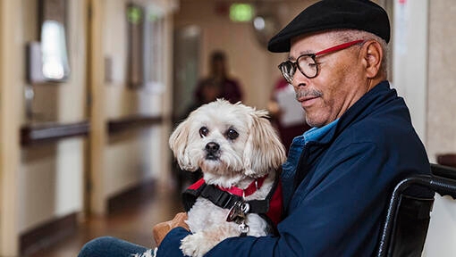 Vieil homme avec un chien