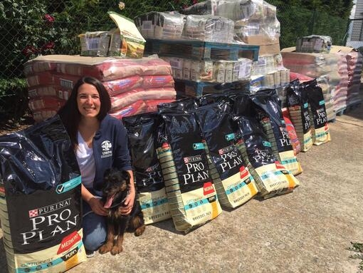 femme et chien avec des tonnes de paquets de nourriture pour chien