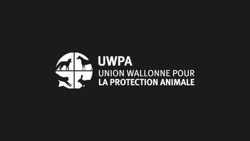 UWPA logo