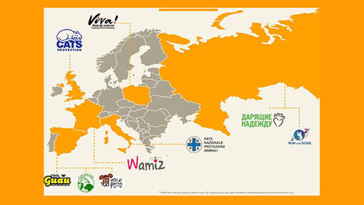 Europese kaart met adoptie liefdadigheidsinstellingen