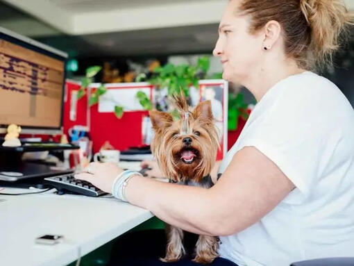 vrouw met hond op kantoor