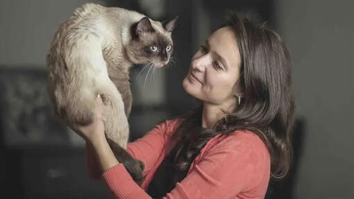 een vrouw die een grijze kat vasthoudt