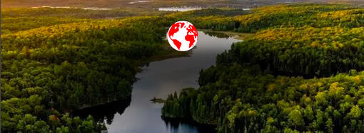 Découvrez nos efforts en matière de développement durable chez Purina