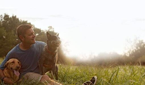 Homme assis sur l'herbe avec deux chiens