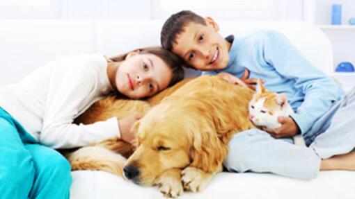 kinderen, hond en kat samen in zetel
