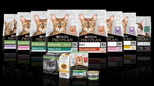 Ontdek PRO PLAN® kat