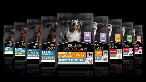 Ontdek PRO PLAN® hond