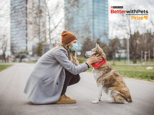 Mieux avec les animaux de compagnie prix femme assise avec chien