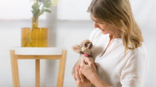 LES BESOINS DU CHIOT AVANT LE SEVRAGE : CHALEUR ET SÉCURITÉ