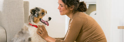Houd de huid van uw puppy gezond