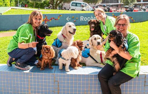 3 vrouwen met 7 honden