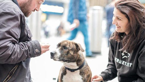 Een vrouw en een man met een hond