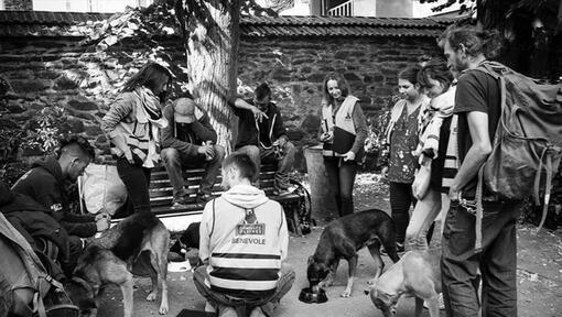 foto van de vereniging gammelles pleines in zwart-wit met 3 honden en 9 mensen