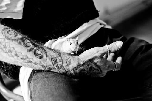 Zwart-wit afbeelding van een hamster op de schoot van een man