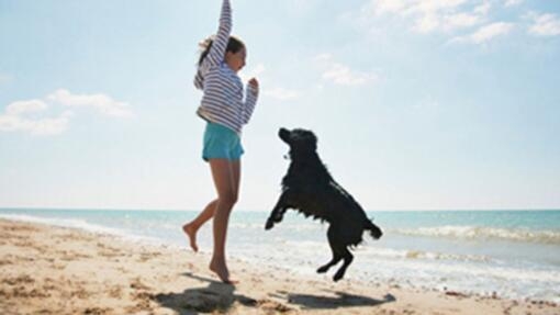 jongere en hond spelen op het strand