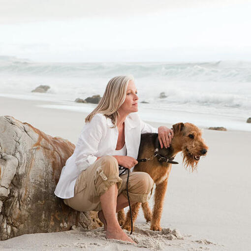 Airedale Terrier sur la plage avec personne.