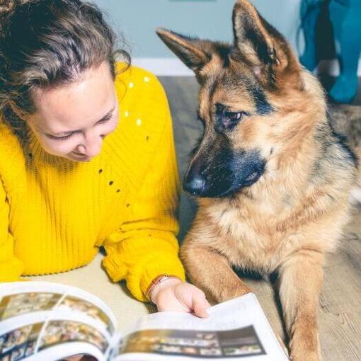 Duitse herderpup met de eigenaar