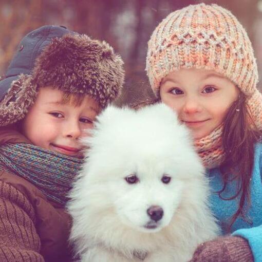 Japanse spits met twee kinderen