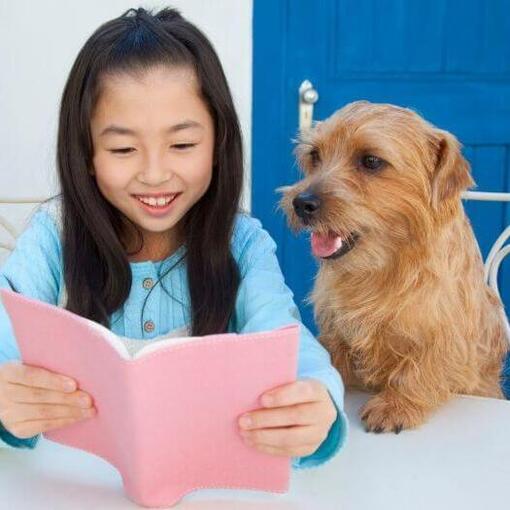Norfolk Terrier assis à côté d'une fille