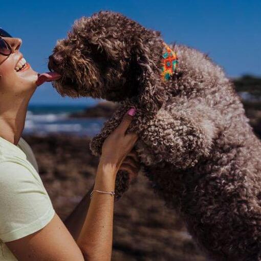Chien embrassant son maître