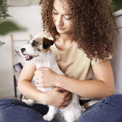 Jack russel in de armen van een kind