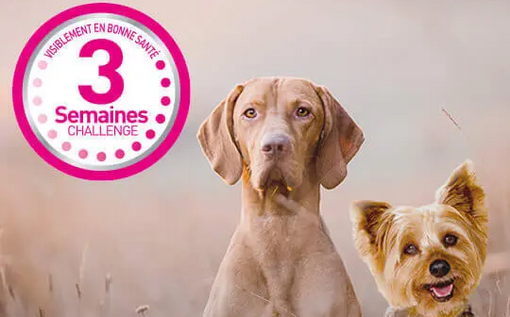 Le Challenge 3 Semaines Purina One Chien