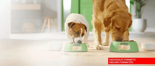 FDD NOUVEAUX FORMATS