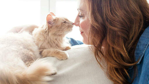 Hoe tonen katten genegenheid?
